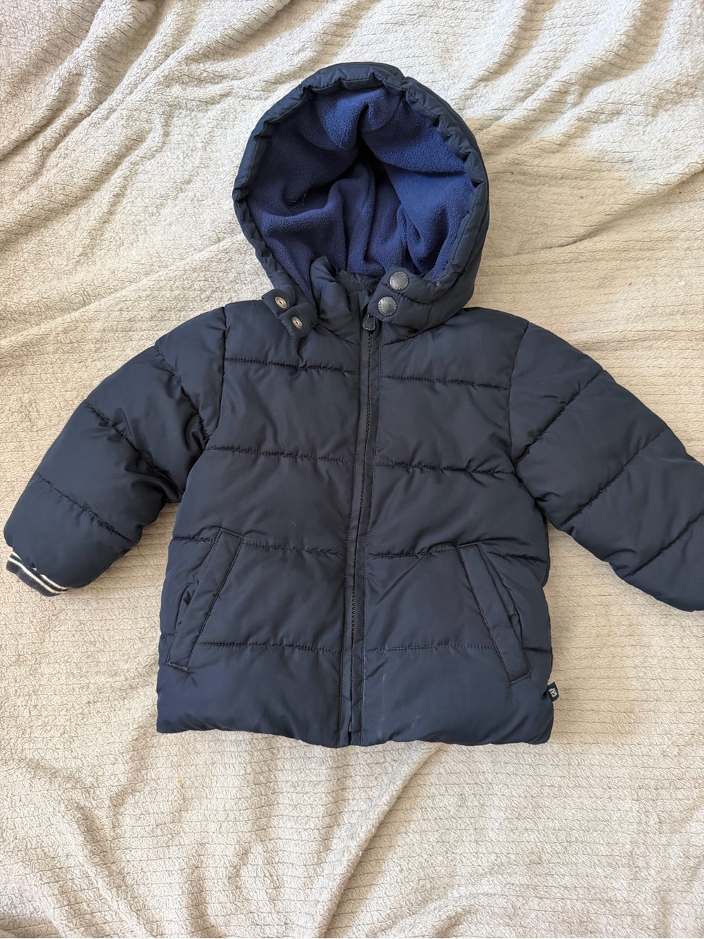 GAP Navy Blue Puffer Jacket with Hood